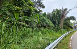 Johor Bahru, Johor 80100