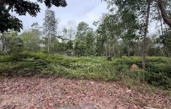 Semenyih, Selangor 43500