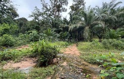 Sik, Kedah 0