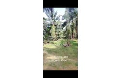 Telok Panglima Garang, Selangor 42500