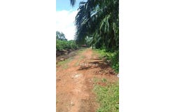 Banting, Selangor 42700
