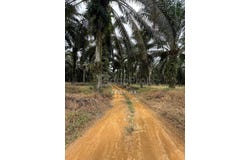 Senai, Johor 70300