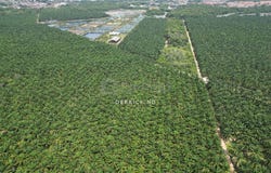 Bedong, Kedah 8100