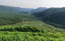 Kuala Kangsar, Perak 31100