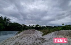 Banting, Selangor