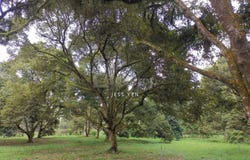 Mantin, Negeri Sembilan 71700