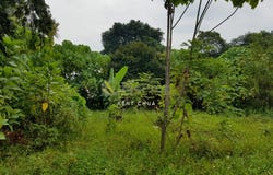 Sungai Buloh, Selangor 40160