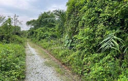 Selangor, Sepang, Selangor