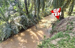Selama, Perak 0