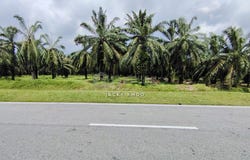 jalan kantan, Banting, Selangor 42700