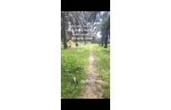 Banting, Selangor 42700