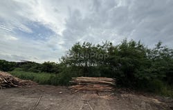 Jalan kampung telok gong, Port Klang, Selangor 42000