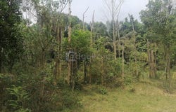 Senai, Johor 81400