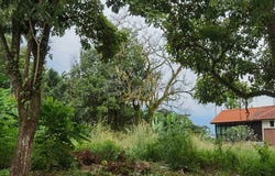 Section U9, Shah Alam, Selangor 40150