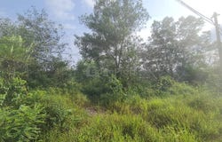 Kuala Selangor, Selangor 45600