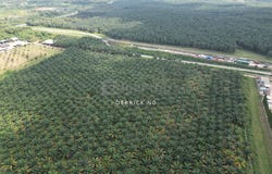 Gurun, Kedah 8300