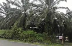 Kuala Kangsar, Perak 31100