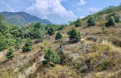 Raub, Pahang 26700