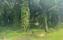 Muar, Johor 84000