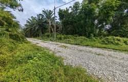 Kota Tinggi, Johor 81900