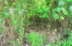 Jalan Bukit Permai, Kajang, Selangor 43000