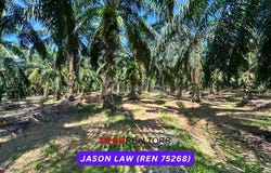 Sungai Petani, Kedah 08100
