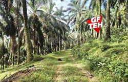 Bandar Baharu, Kedah 09810
