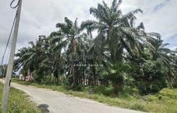 off Persiaran Apec, Dengkil, Selangor 43800