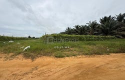 Senai, Johor 70300