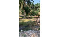 Triang, Pahang 28380