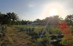 Bukit Nyamuk Simpang Renggam, Kluang, Johor 86200