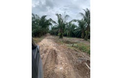 Pulau Carey, Selangor