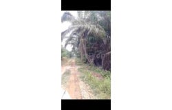 Telok Panglima Garang, Selangor 42500