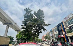 Shah Alam, Selangor