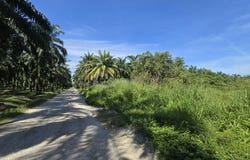 Kuala Selangor, Selangor 45600