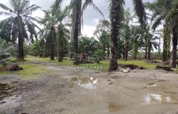 Telok Panglima Garang, Selangor 42500