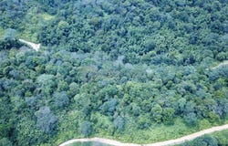 Bentong, Pahang 28750