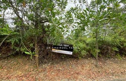 Jalan Belimbing, Pasir Gudang, Johor 81700