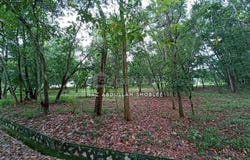Jalan Putra Harmoni, Subang Jaya, Selangor 47100