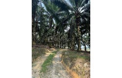 Ulu Tiram, Johor 81800