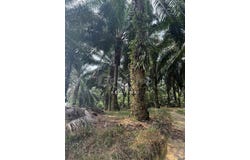 Ulu Tiram, Johor 81800