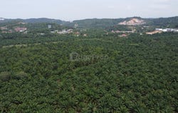 Shah Alam, Selangor 45600