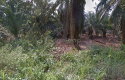 Telok Panglima Garang, Selangor 42500