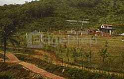 Sega, Pahang 27600