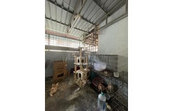 Seri Kembangan, Selangor 43300