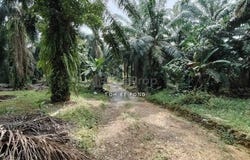 Kangkar Pulai, Johor 81300