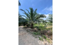 Banting, Selangor 42700