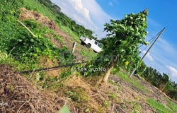 Pasir Gudang, Johor 81700