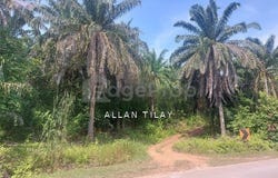 Maran Mengkarak, Pahang 26500