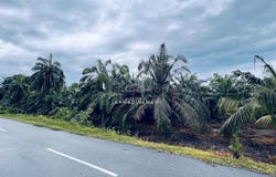 Tanjong Sepat, Selangor